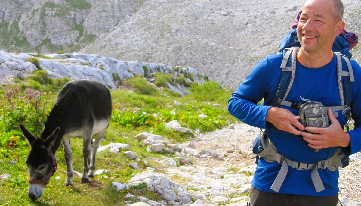 Esel und "Esel" | © Jörg Ladiges