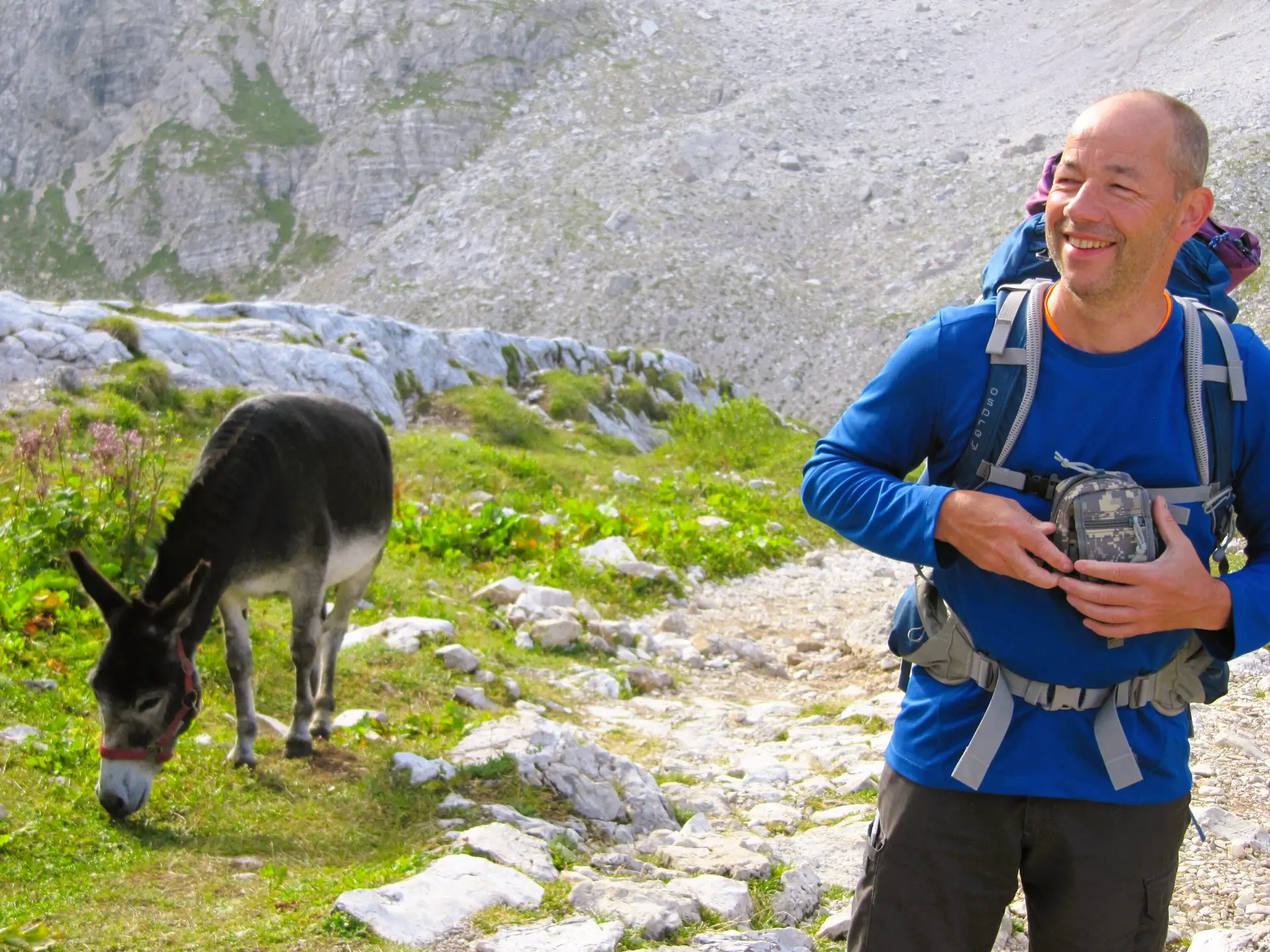 Esel und "Esel" | © Jörg Ladiges