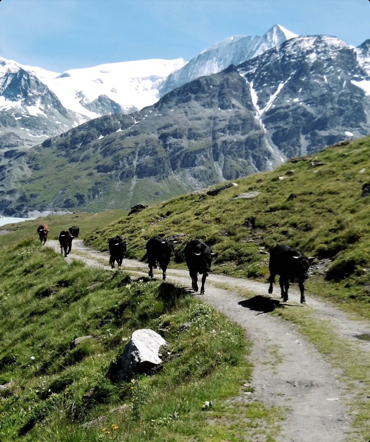 Am Lac de Dix | © Werner Rehn