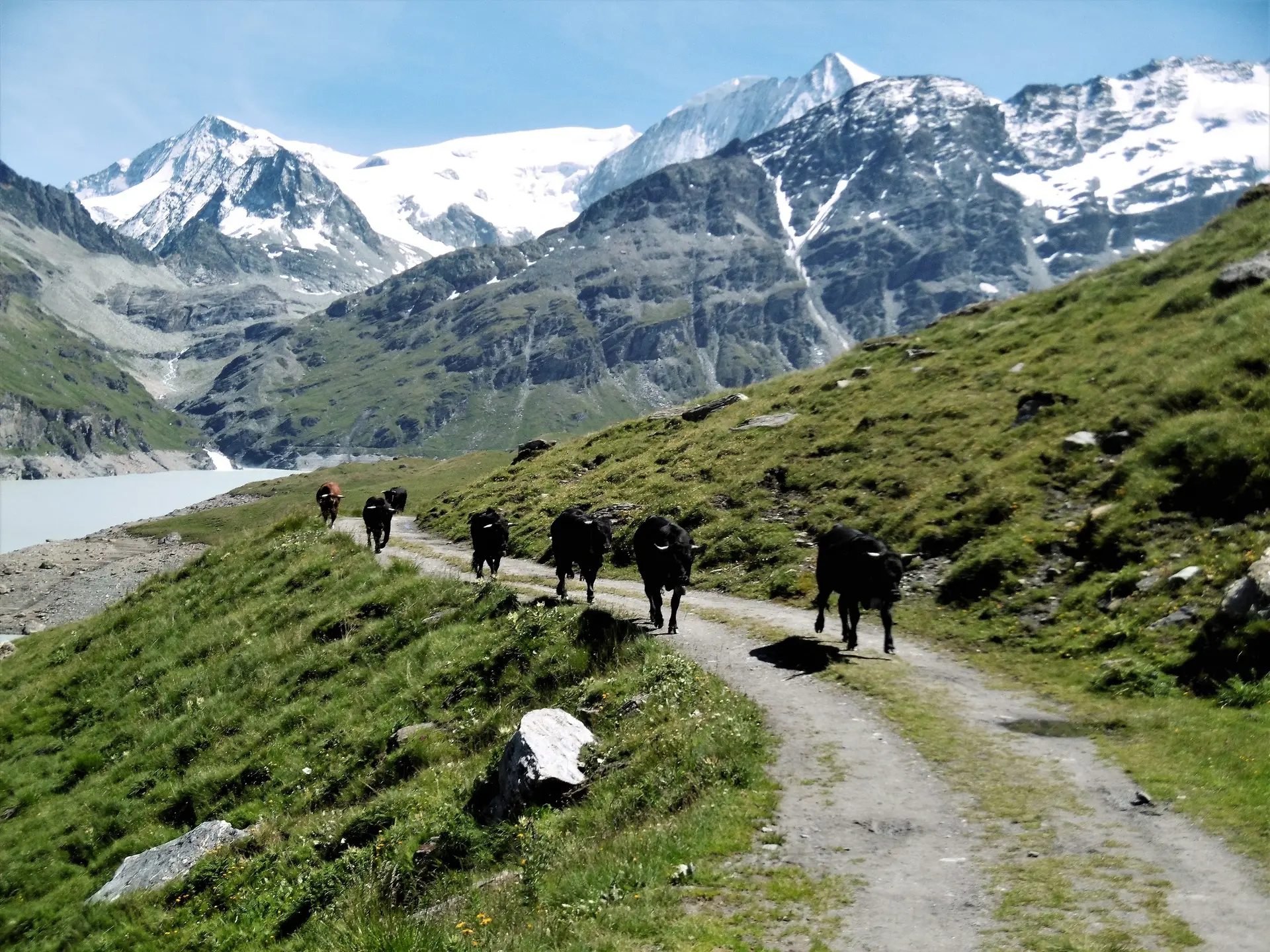 Am Lac de Dix | © Werner Rehn