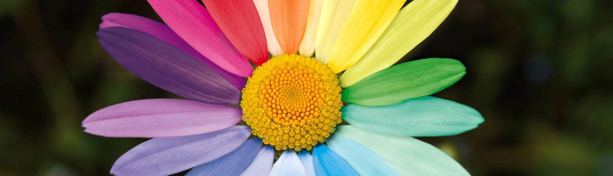 © Frauke Riether auf Pixabay