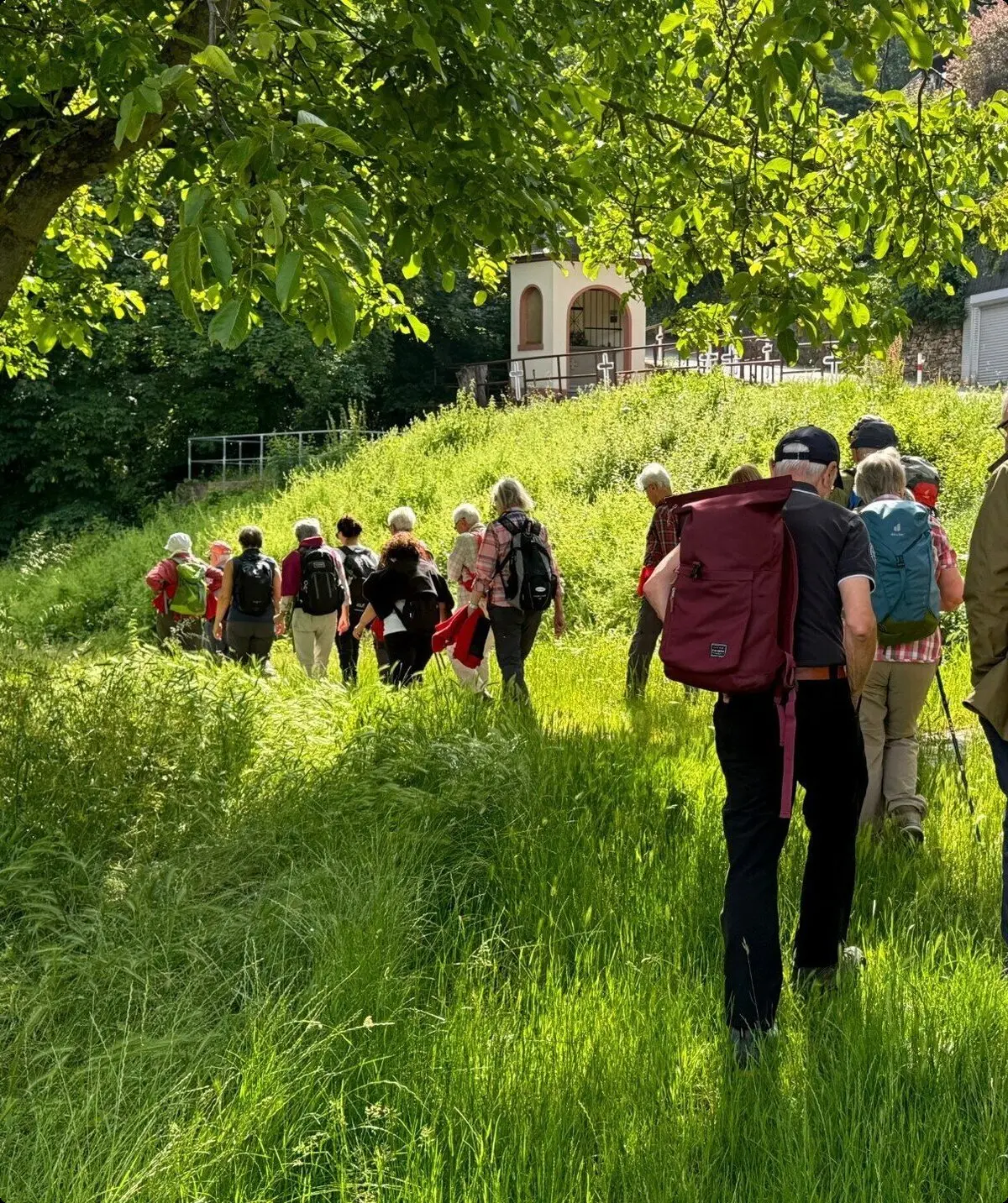 DAV Mainz - Seniorenwandergruppe: Sommer | © Dietmar Rodewald