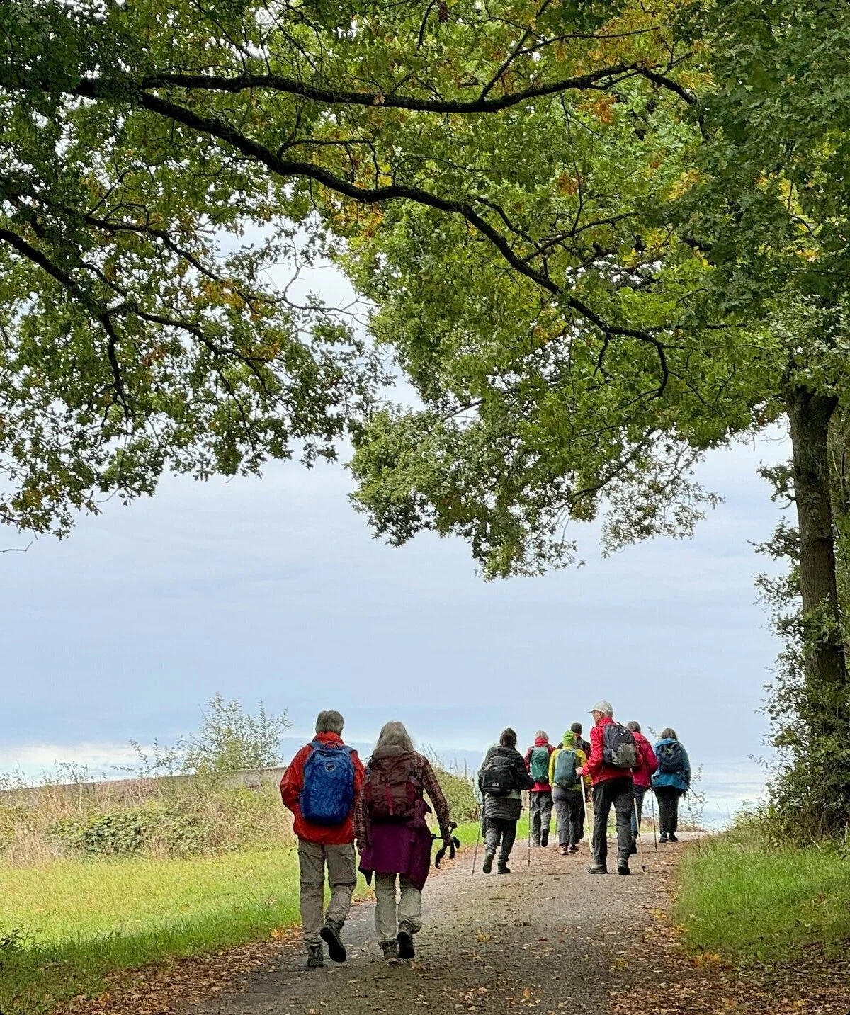 DAV Mainz - Seniorenwandergruppe: Herbst | © Dietmar Rodewald DAV Mainz - Seniorenwandergruppe: Herbst | © Dietmar Rodewald
