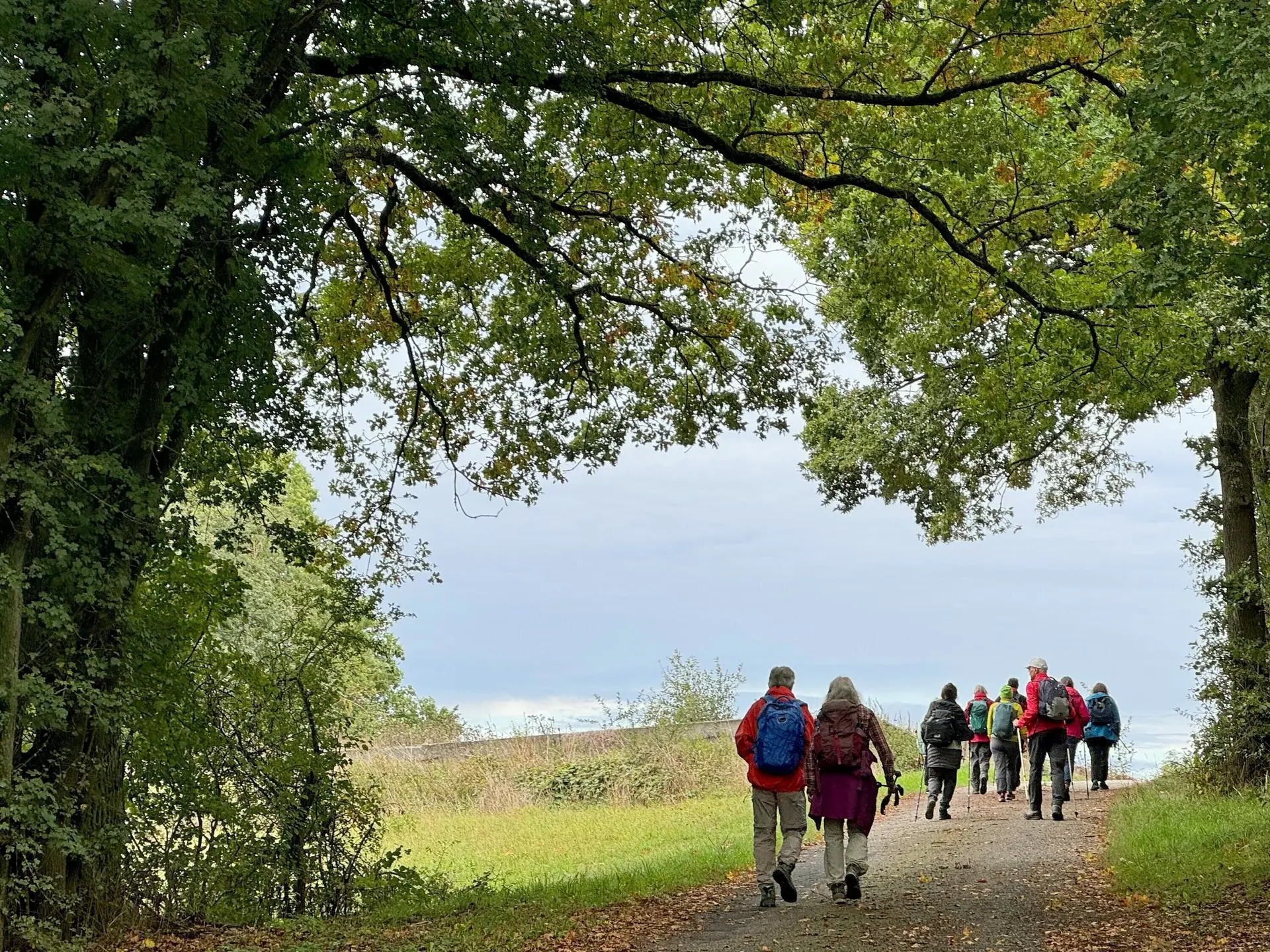 DAV Mainz - Seniorenwandergruppe: Herbst | © Dietmar Rodewald