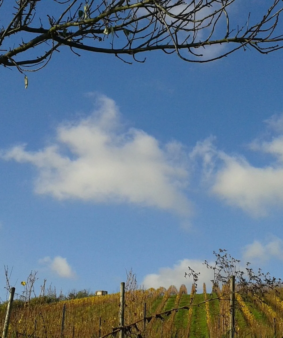 © Bernd Schäfer auf Pixabay