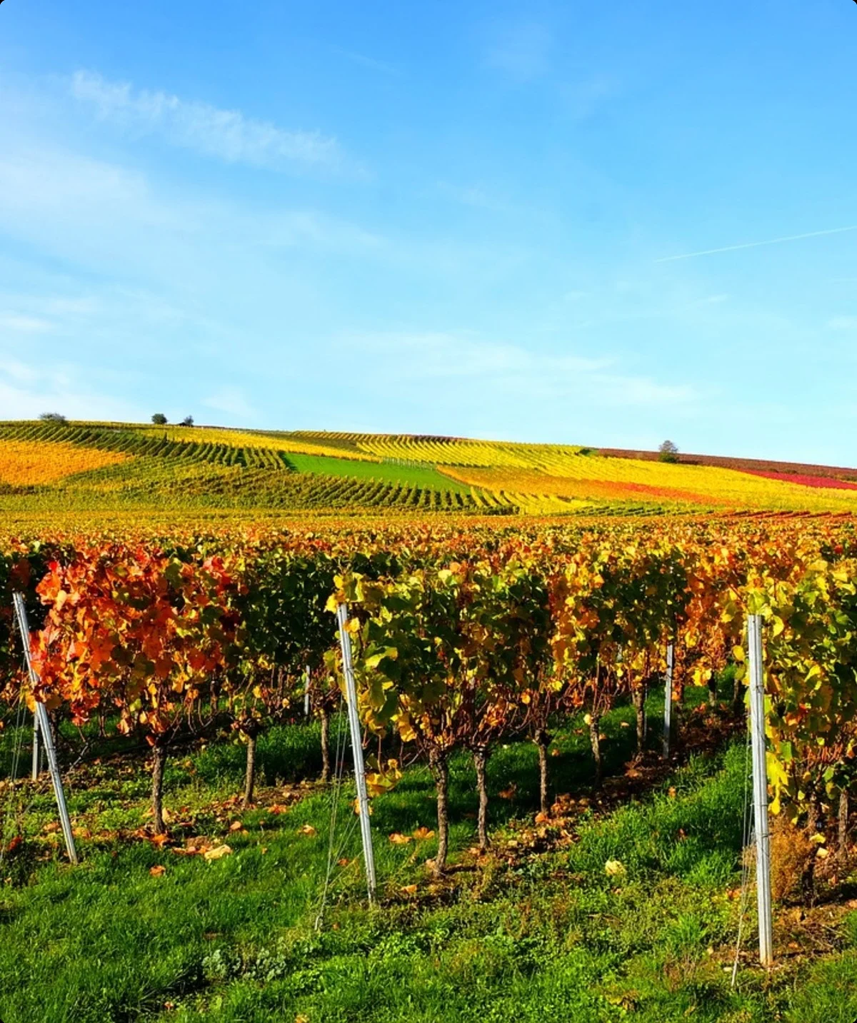 © Holger Schué (Pixabay)