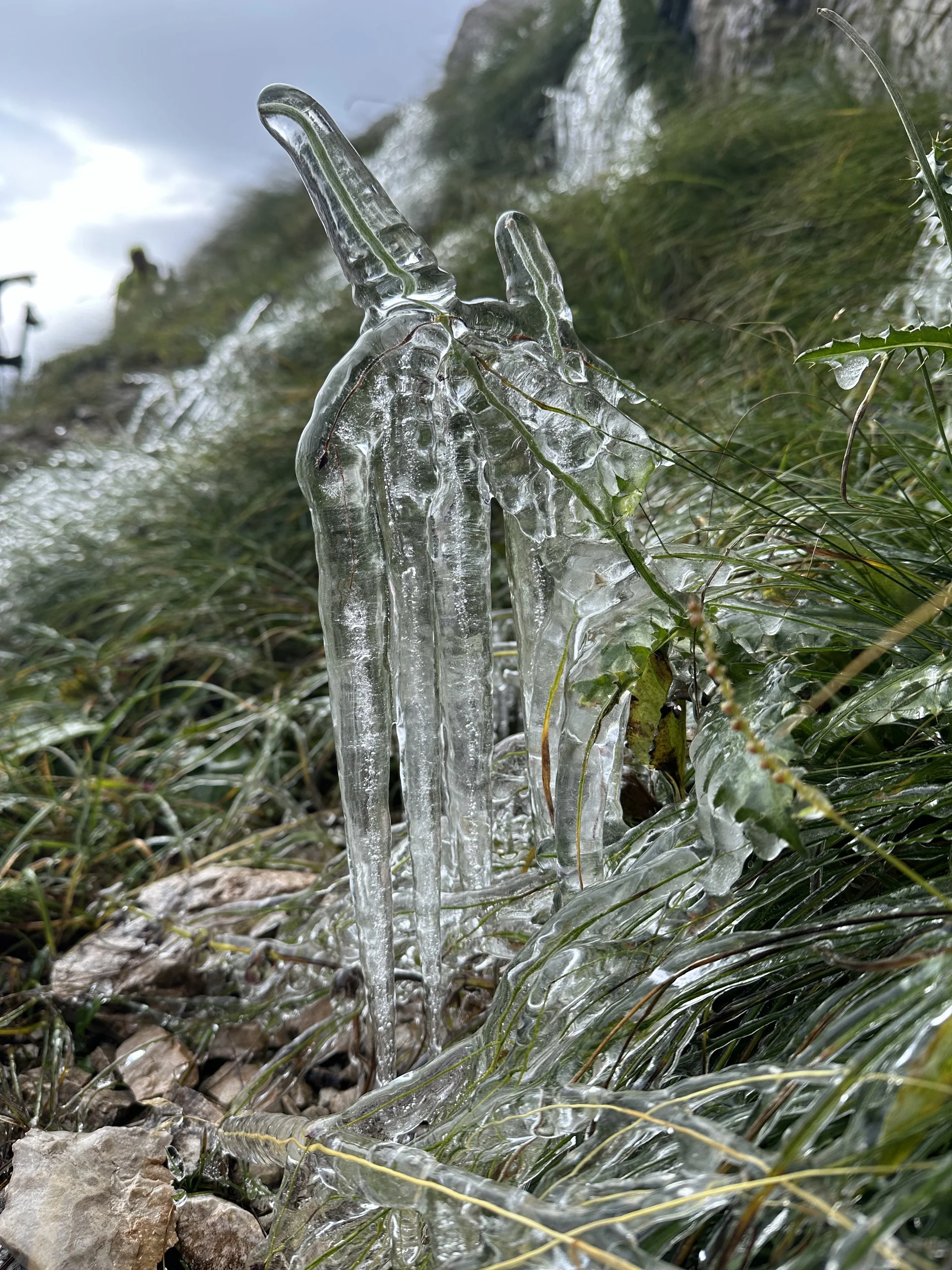 Am Wegesrand | © Sandra Holte / DAV Mainz