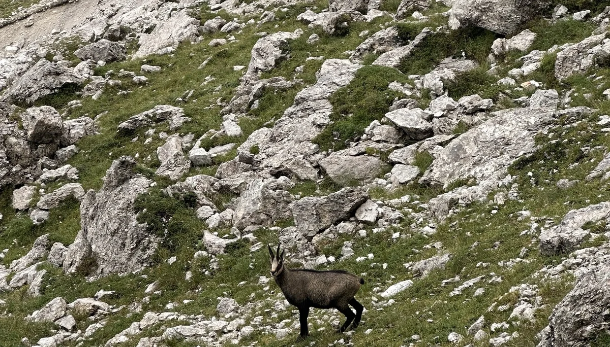 "Highlight des Tages" am Sentiero Palmieri | © Sandra Holte / DAV Mainz