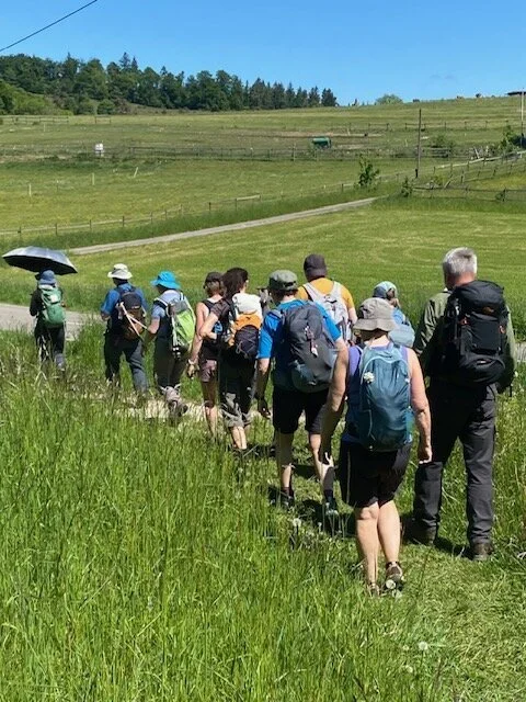 Wandernde im Gänsemarsch auf einer Wiese | © Margret Fischer