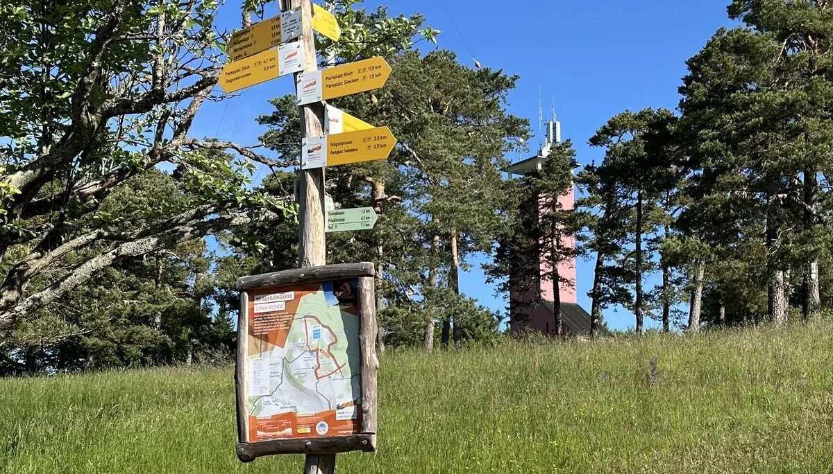 Pfahl mit Wegweisern in verschiedene Richtungen | © Claudia Endriss