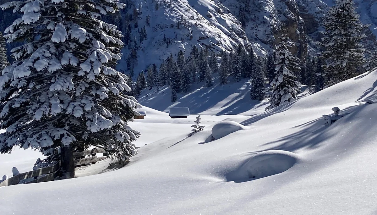 Plätzwiese | © Erika Schüller