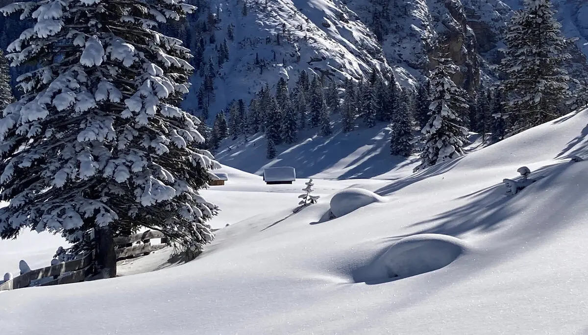 Plätzwiese | © Erika Schüller