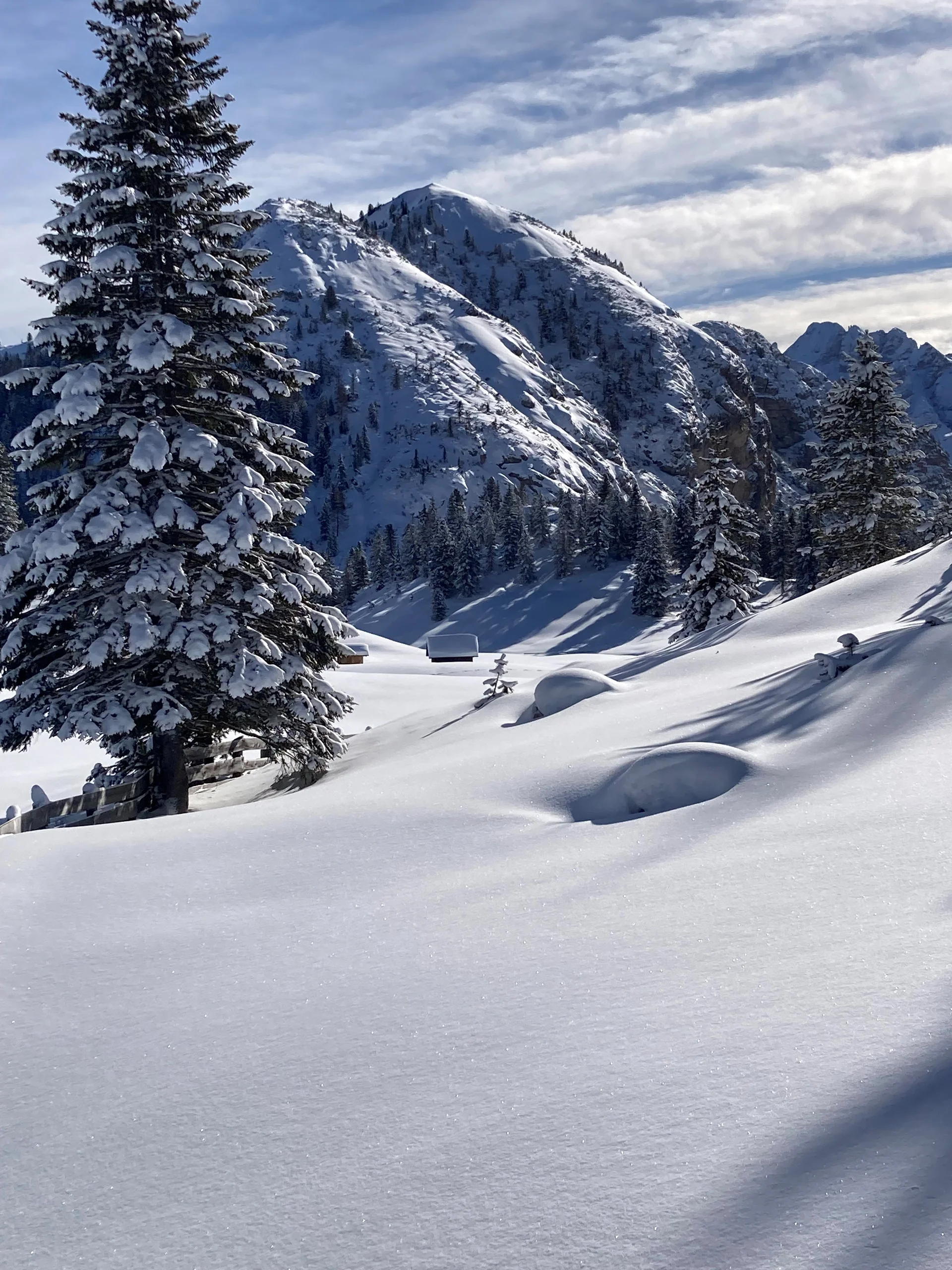 Plätzwiese | © Erika Schüller