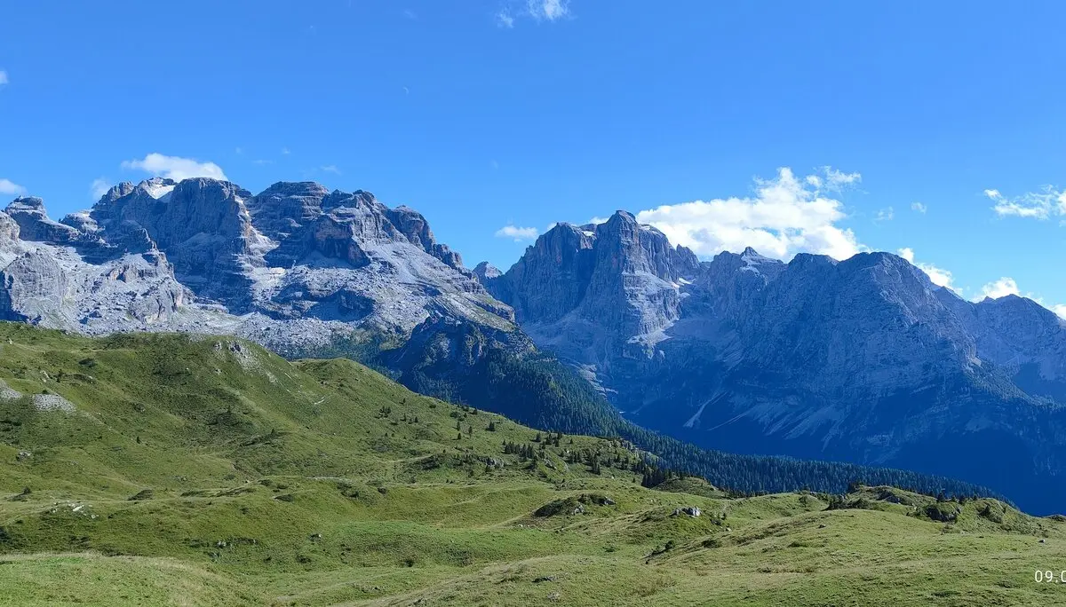 Almwiesen oberhalb der Baumzone | © Erika Chaari  / DAV Mainz
