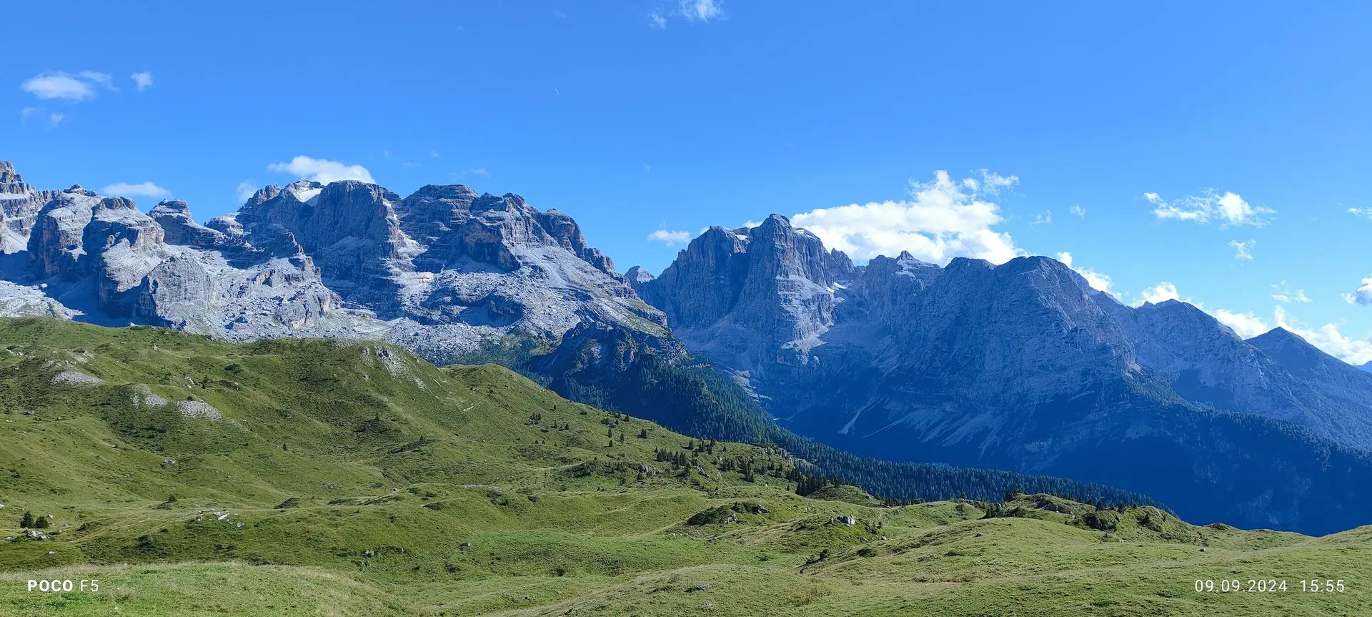Almwiesen oberhalb der Baumzone | © Erika Chaari  / DAV Mainz