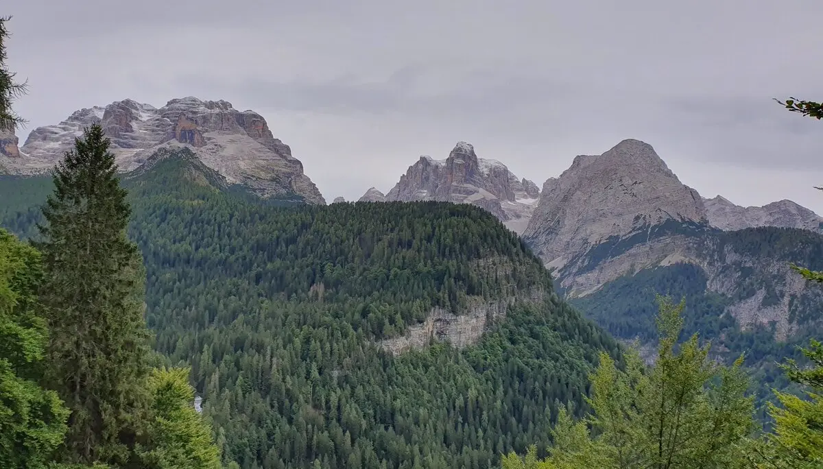 Ein letzter Blick auf die Gipfel der Brenta | © Andreas Böttcher / DAV Mainz
