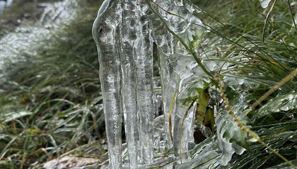 Am Wegesrand | © Sandra Holte / DAV Mainz