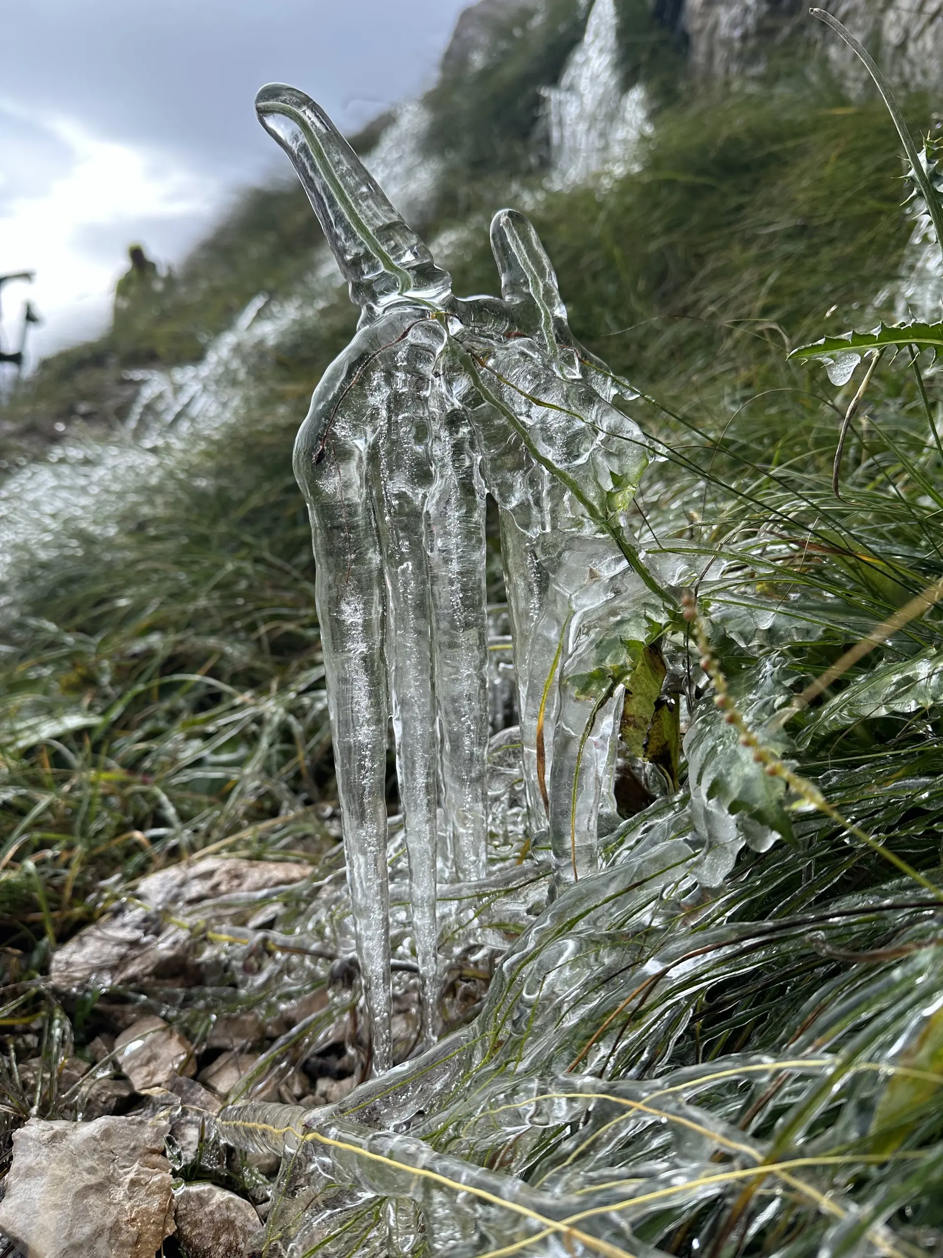 Am Wegesrand | © Sandra Holte / DAV Mainz