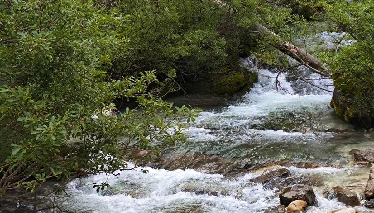 Zurück in der "grünen Zone" des Parco Naturale Adamello Brenta | © Erika Chaari  / DAV Mainz