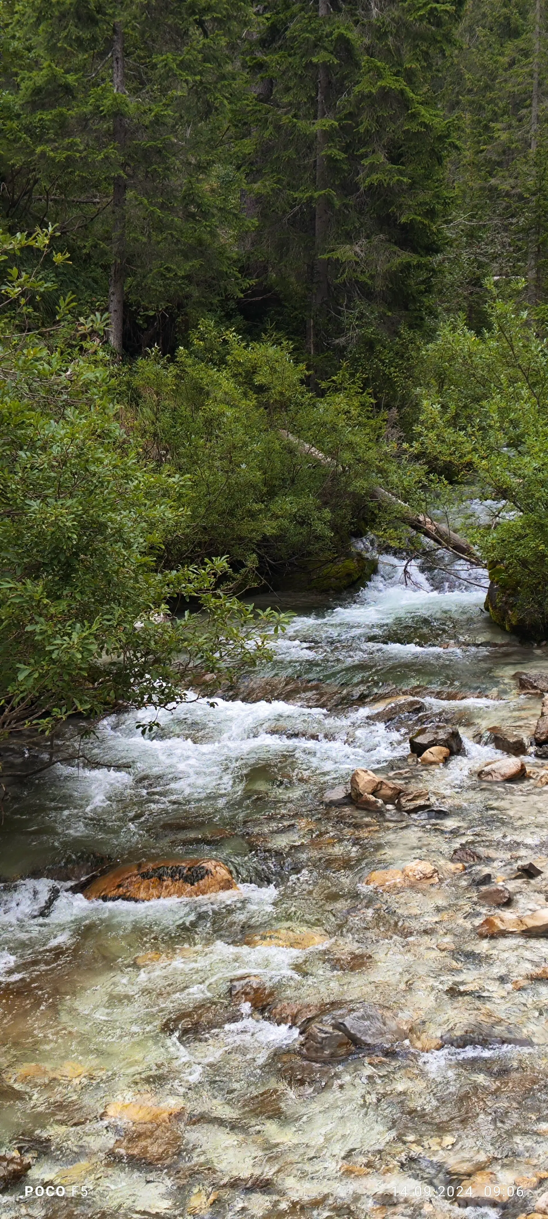 Zurück in der "grünen Zone" des Parco Naturale Adamello Brenta | © Erika Chaari  / DAV Mainz