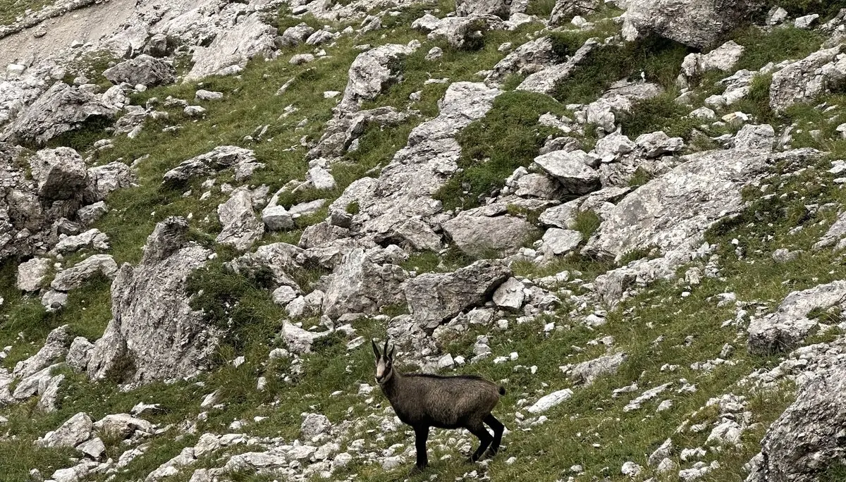 "Highlight des Tages" am Sentiero Palmieri | © Sandra Holte / DAV Mainz