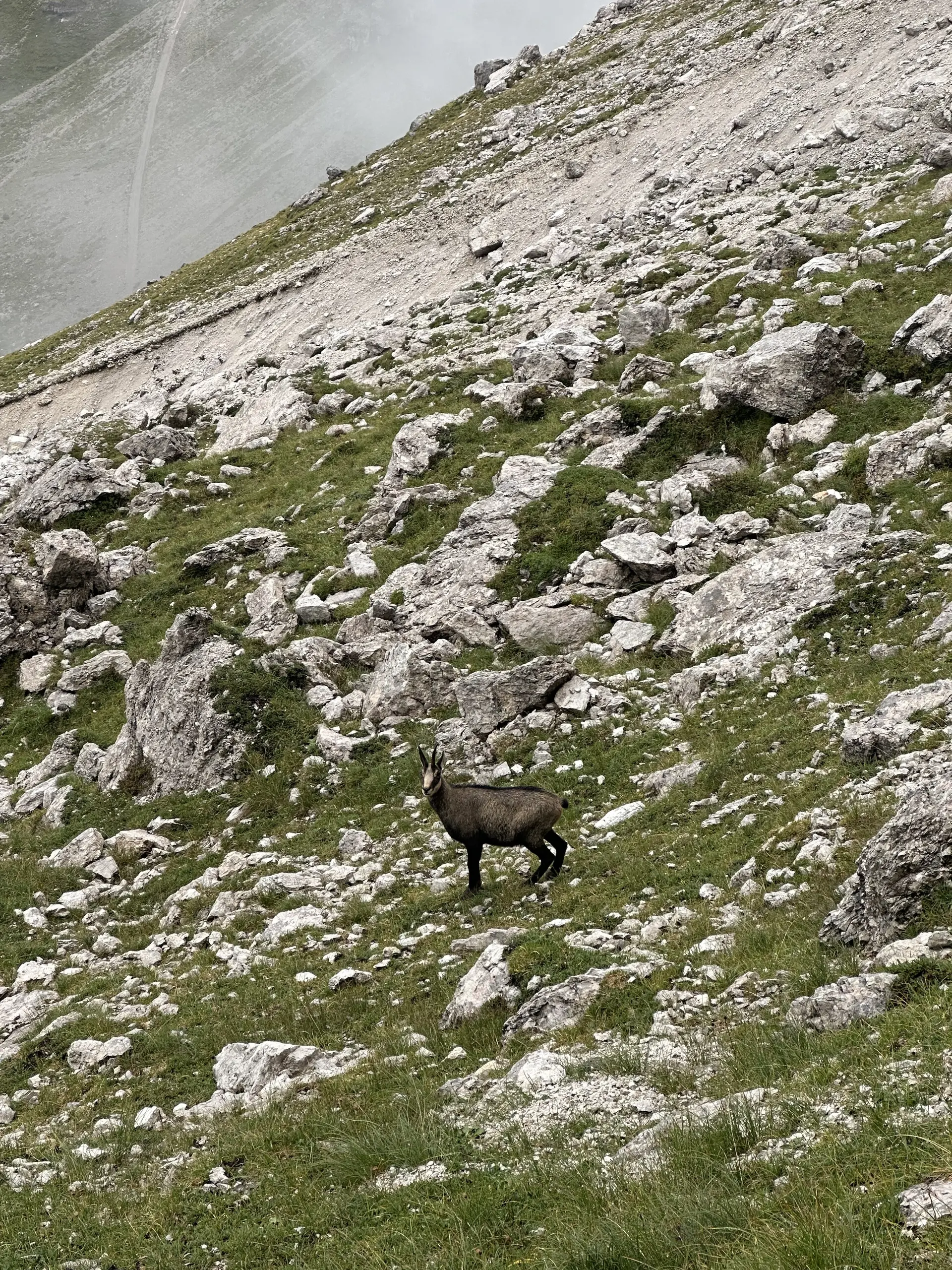 "Highlight des Tages" am Sentiero Palmieri | © Sandra Holte / DAV Mainz