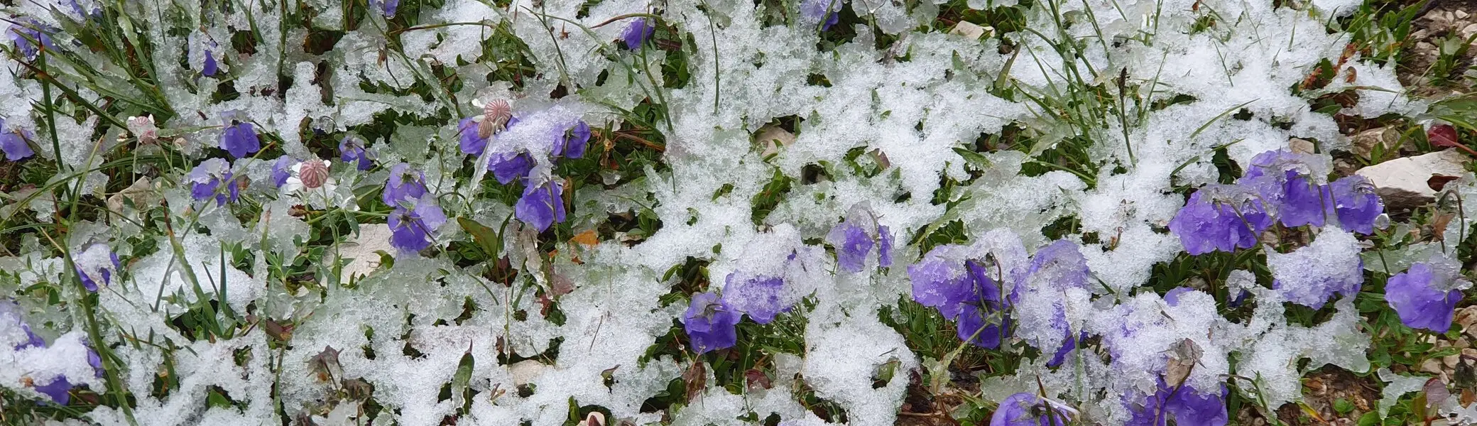Am Wegesrand | © Andreas Böttcher / DAV Mainz