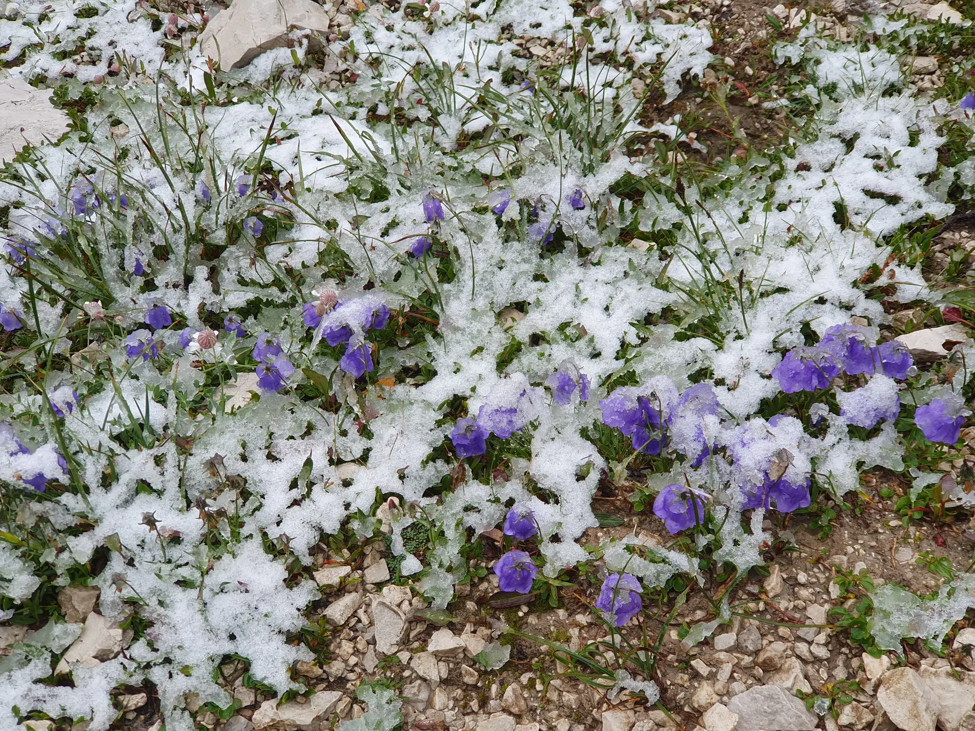 Am Wegesrand | © Andreas Böttcher / DAV Mainz