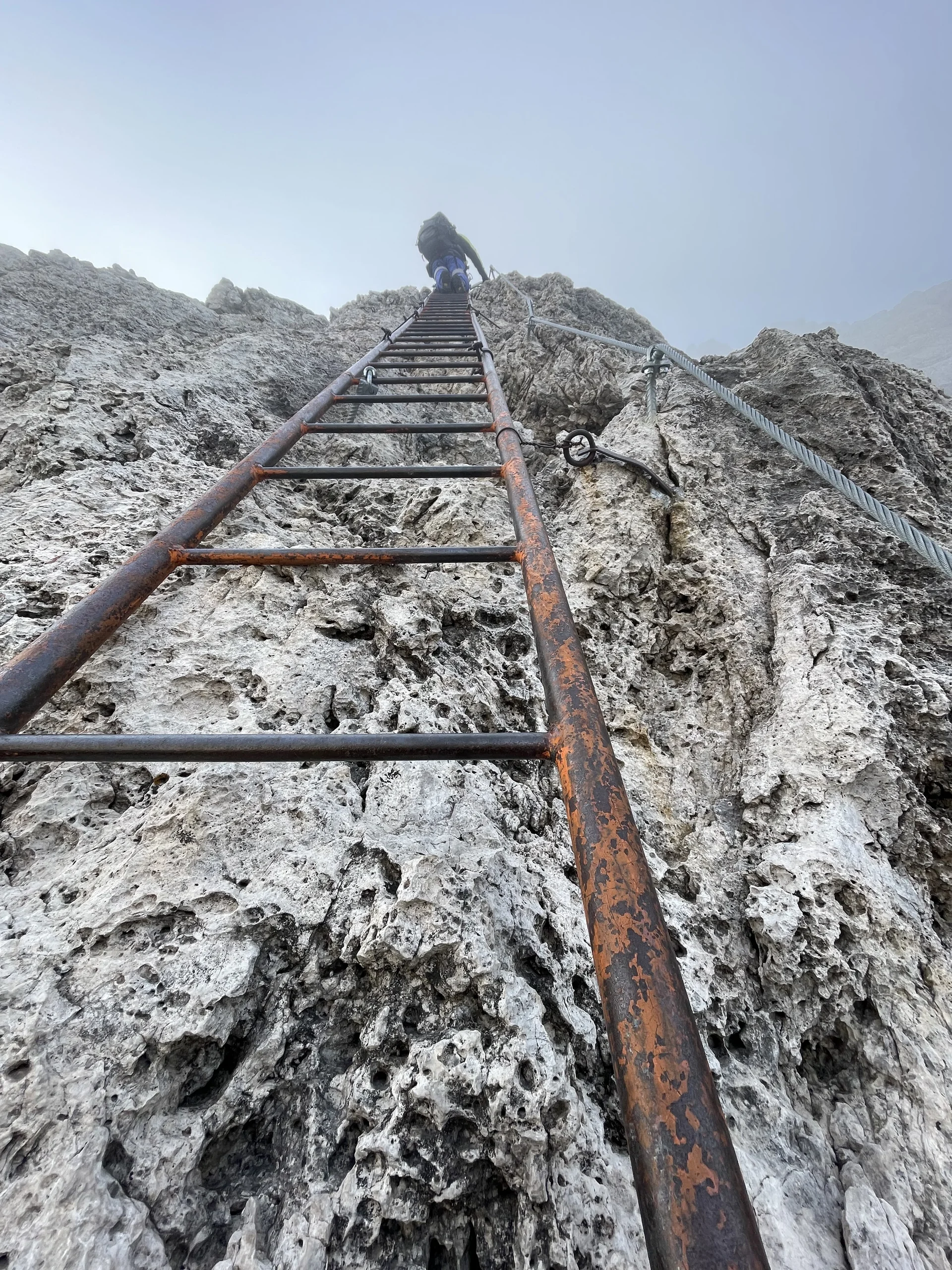 Sentiero Bocchette Alte - aufwärts über eine steile lange Leiter | © Dustin Rottmann / DAV Mainz