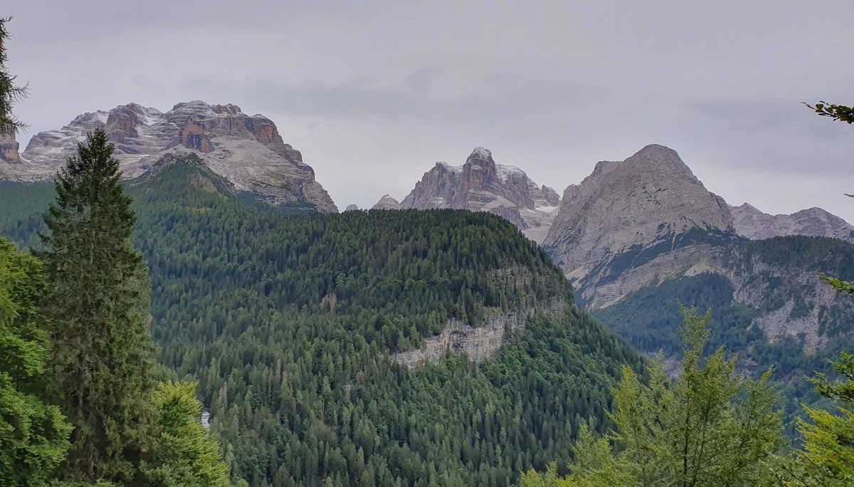 Ein letzter Blick auf die Gipfel der Brenta | © Andreas Böttcher / DAV Mainz
