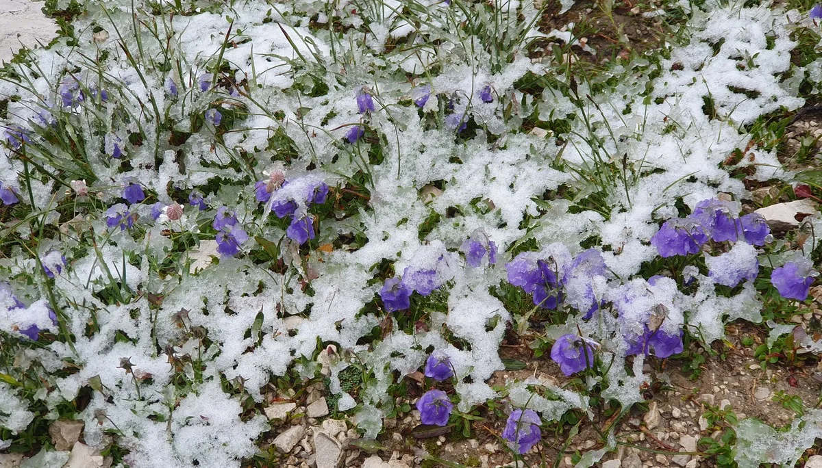 Am Wegesrand | © Andreas Böttcher / DAV Mainz