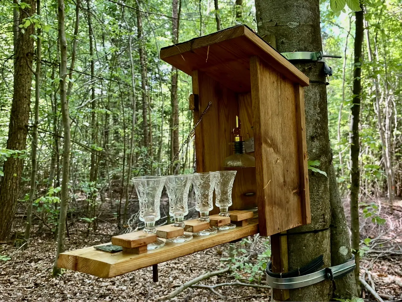 Mehlinger Heide | © DAV Mainz (Claudia Endriss/Oliver Heil)