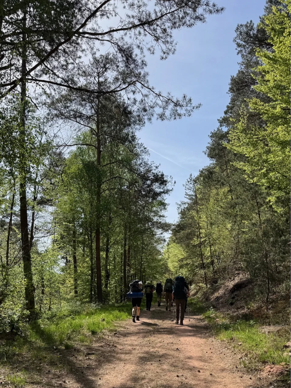 Hinkelstein | © DAV Mainz (Claudia Endriss/Oliver Heil)