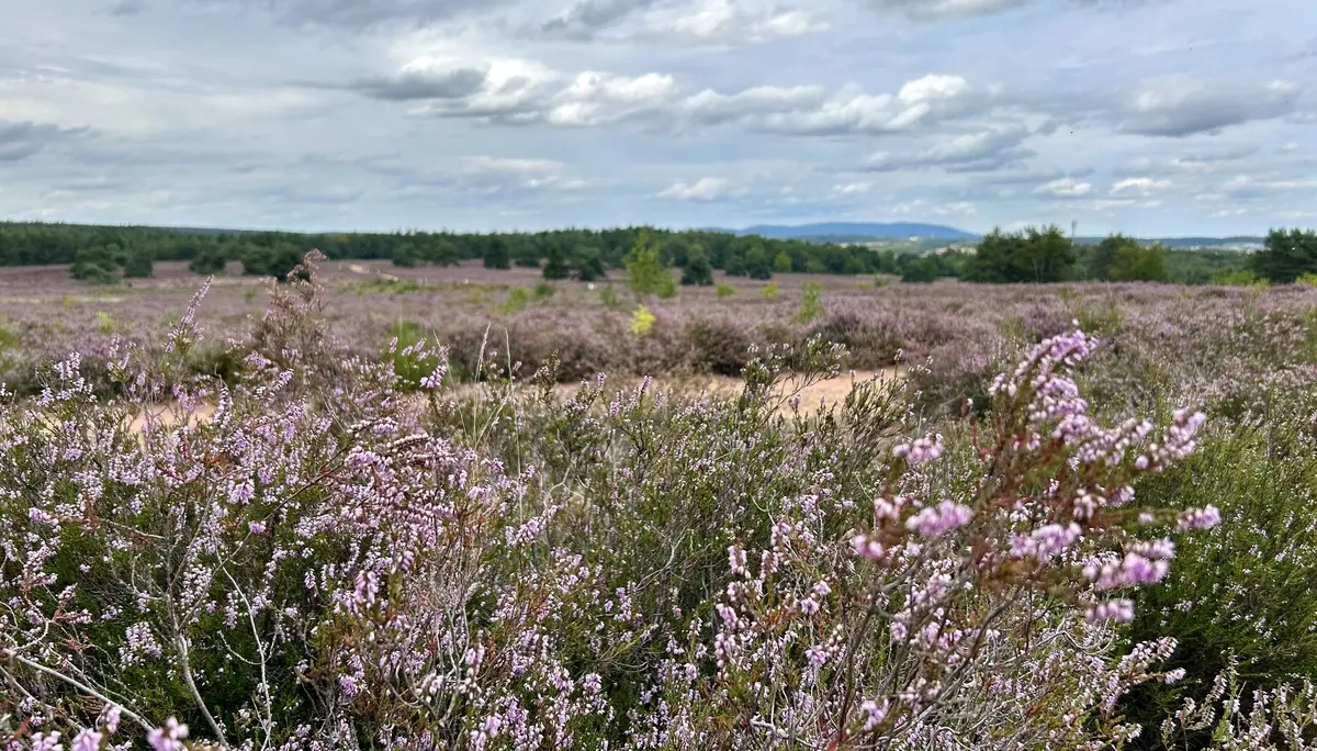 Zwitscherkasten | © DAV Mainz (Claudia Endriss/Oliver Heil)