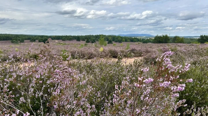 Zwitscherkasten | © DAV Mainz (Claudia Endriss/Oliver Heil)