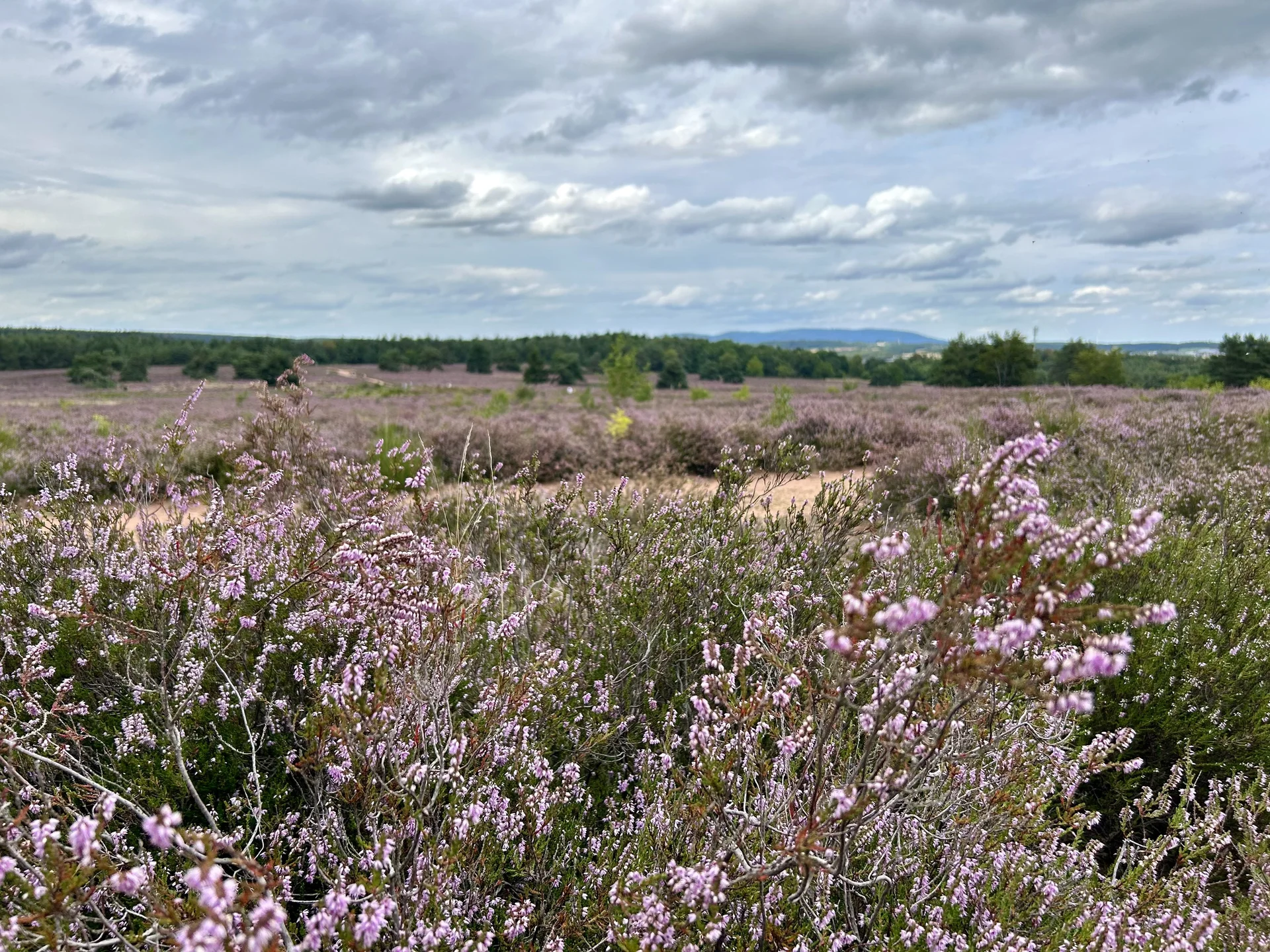 Zwitscherkasten | © DAV Mainz (Claudia Endriss/Oliver Heil)