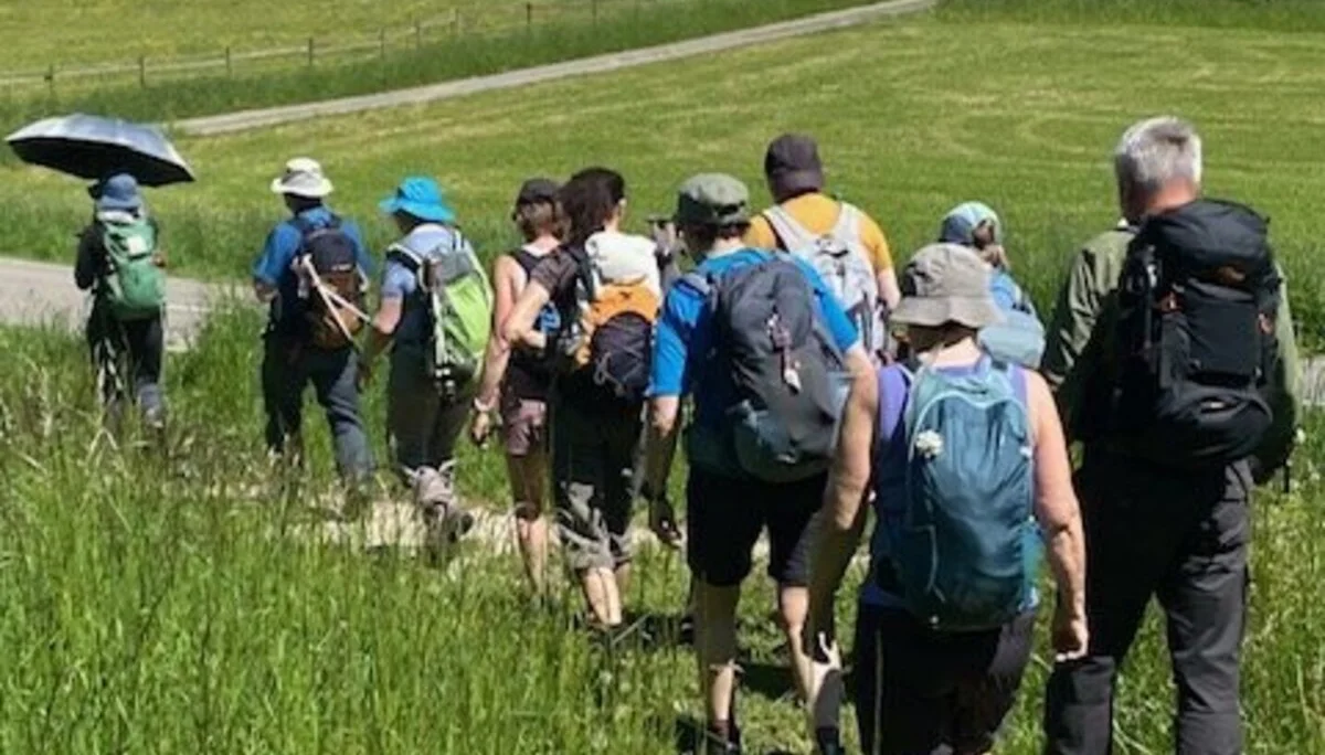 Wandernde im Gänsemarsch auf einer Wiese | © Margret Fischer