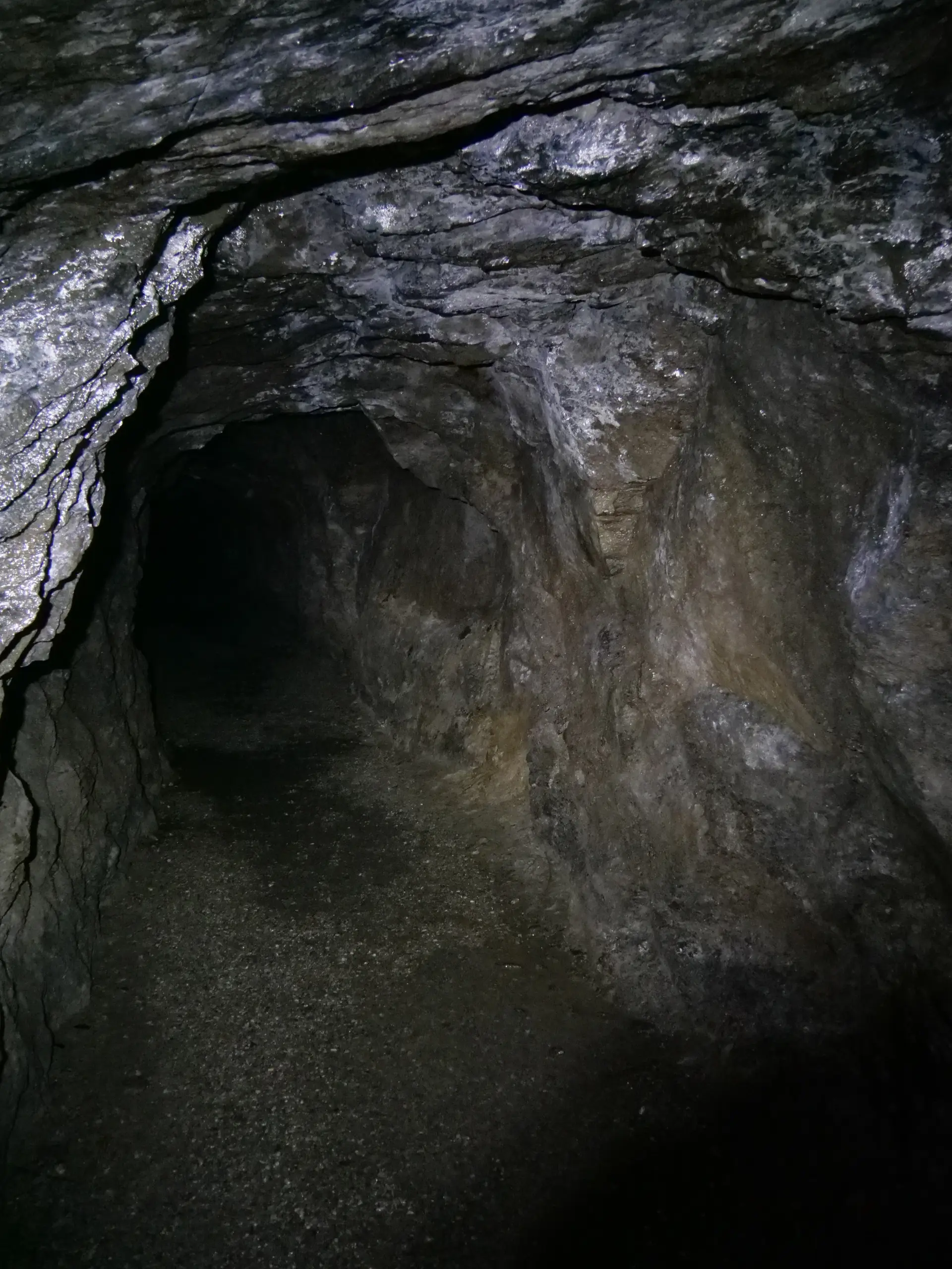 Gallruthstollen | © DAV Mainz / Jörg Steinkamp