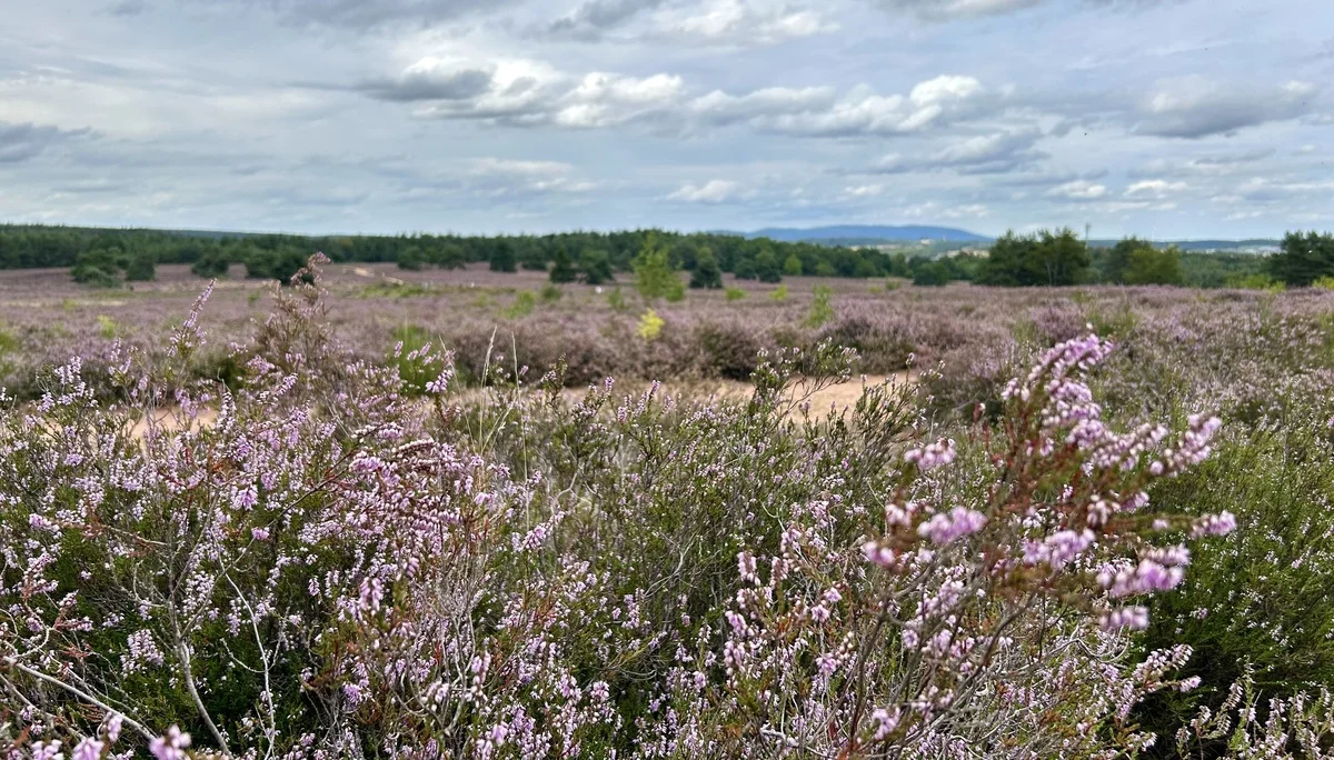 Zwitscherkasten | © DAV Mainz (Claudia Endriss/Oliver Heil)