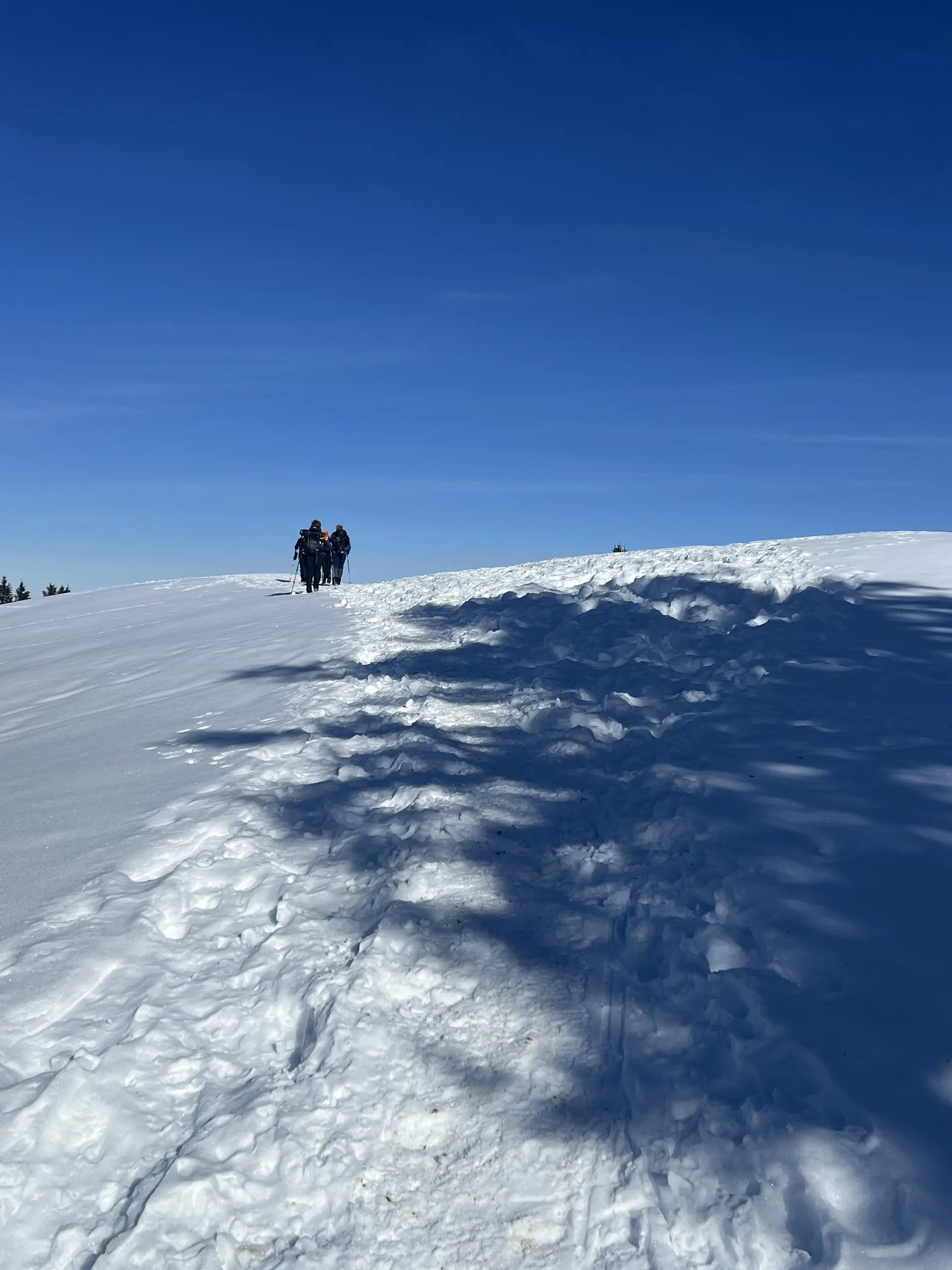 Auf dem Pirschling | © DAV Mainz / Tourengruppe Schneeschuhtouren im Tannheimer Tal (04.-08.02.2026)