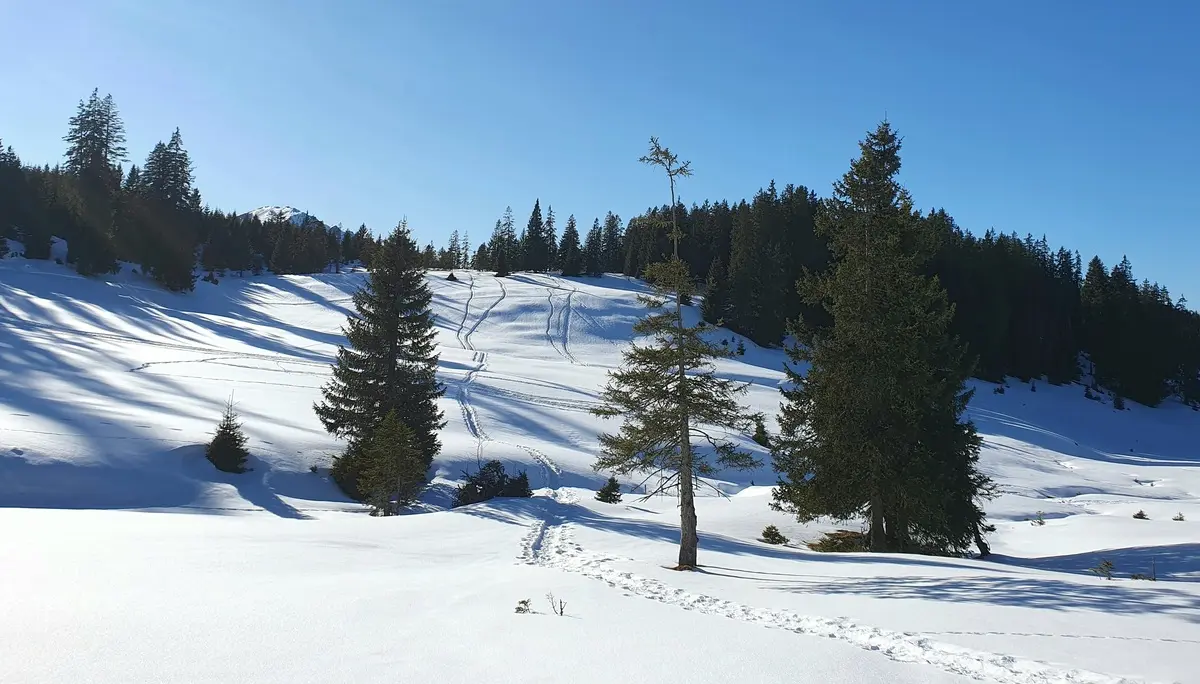 Auf dem Rückweg nach Zöblen | © DAV Mainz / Tourengruppe Schneeschuhtouren im Tannheimer Tal (04.-08.02.2026)