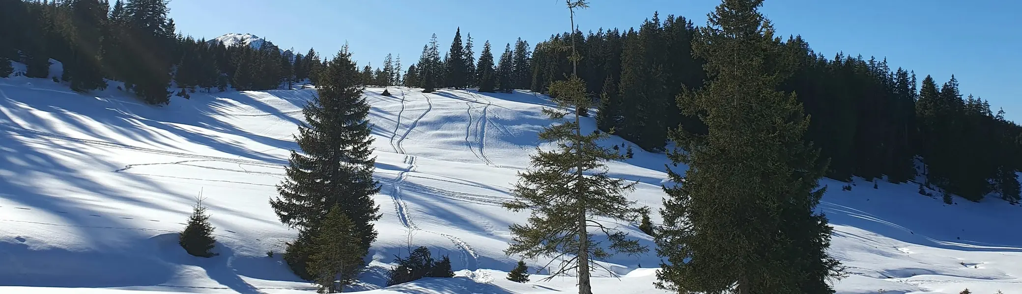 Auf dem Rückweg nach Zöblen | © DAV Mainz / Tourengruppe Schneeschuhtouren im Tannheimer Tal (04.-08.02.2026)