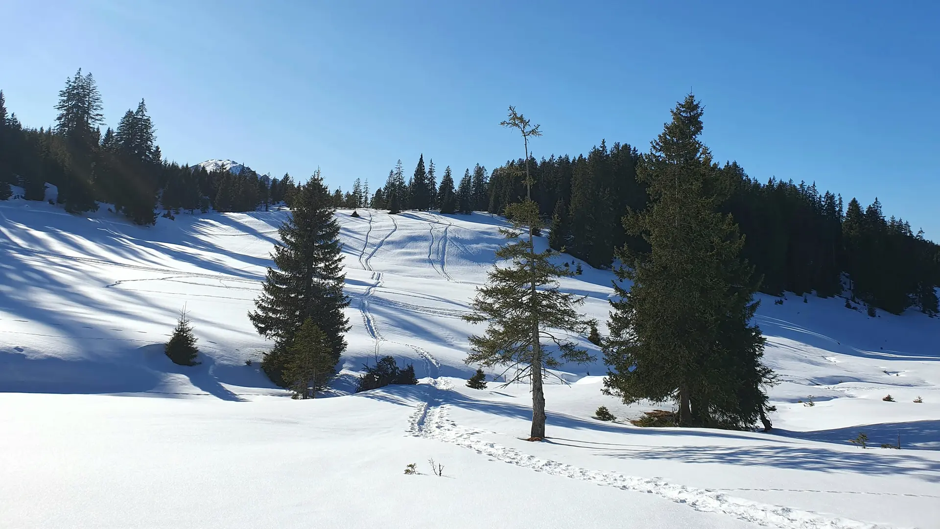 Auf dem Rückweg nach Zöblen | © DAV Mainz / Tourengruppe Schneeschuhtouren im Tannheimer Tal (04.-08.02.2026)