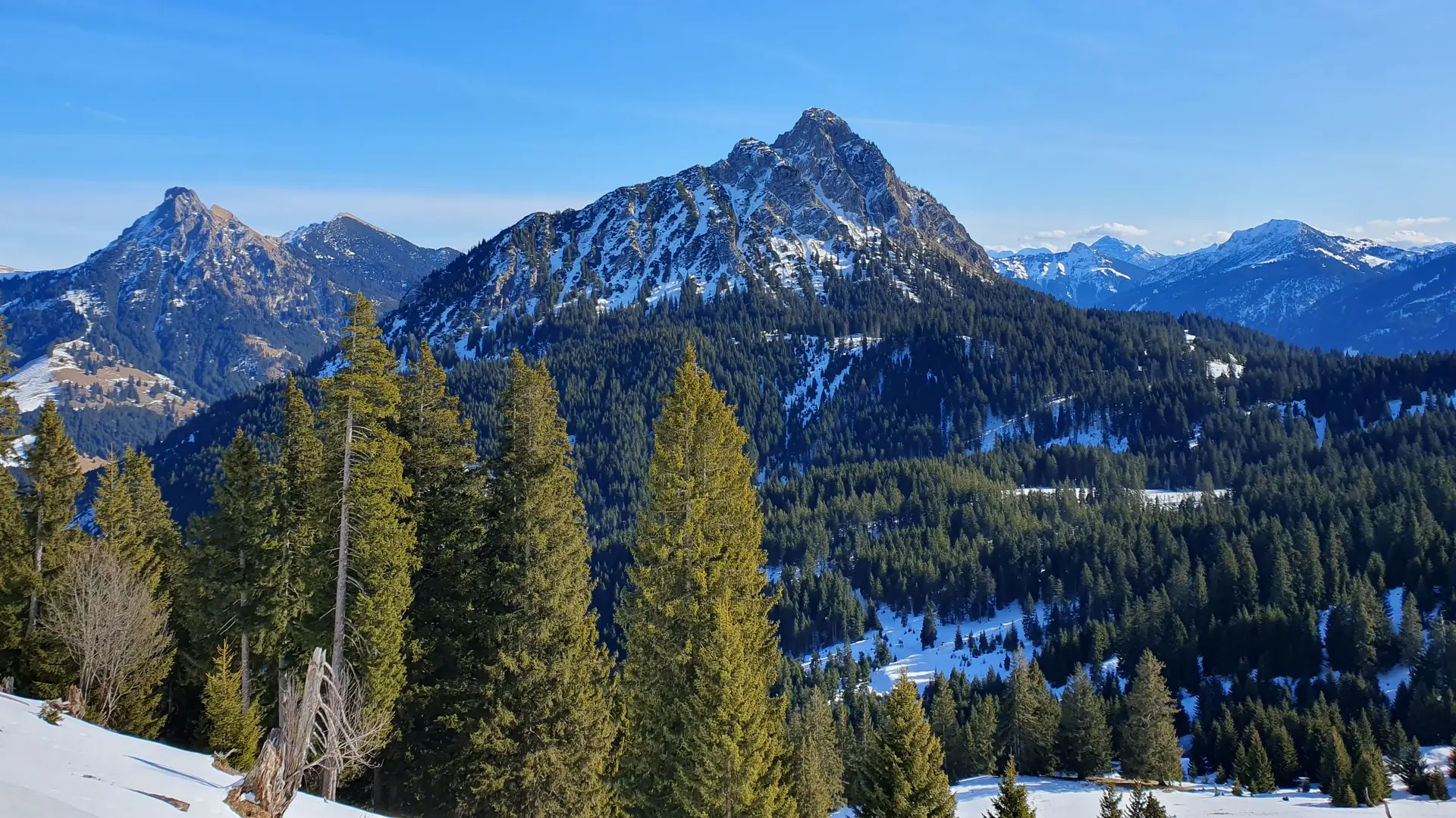 Ausblick auf Aggenstein (links) und Einstein (Mitte) | © DAV Mainz / Tourengruppe Schneeschuhtouren im Tannheimer Tal (04.-08.02.2026)