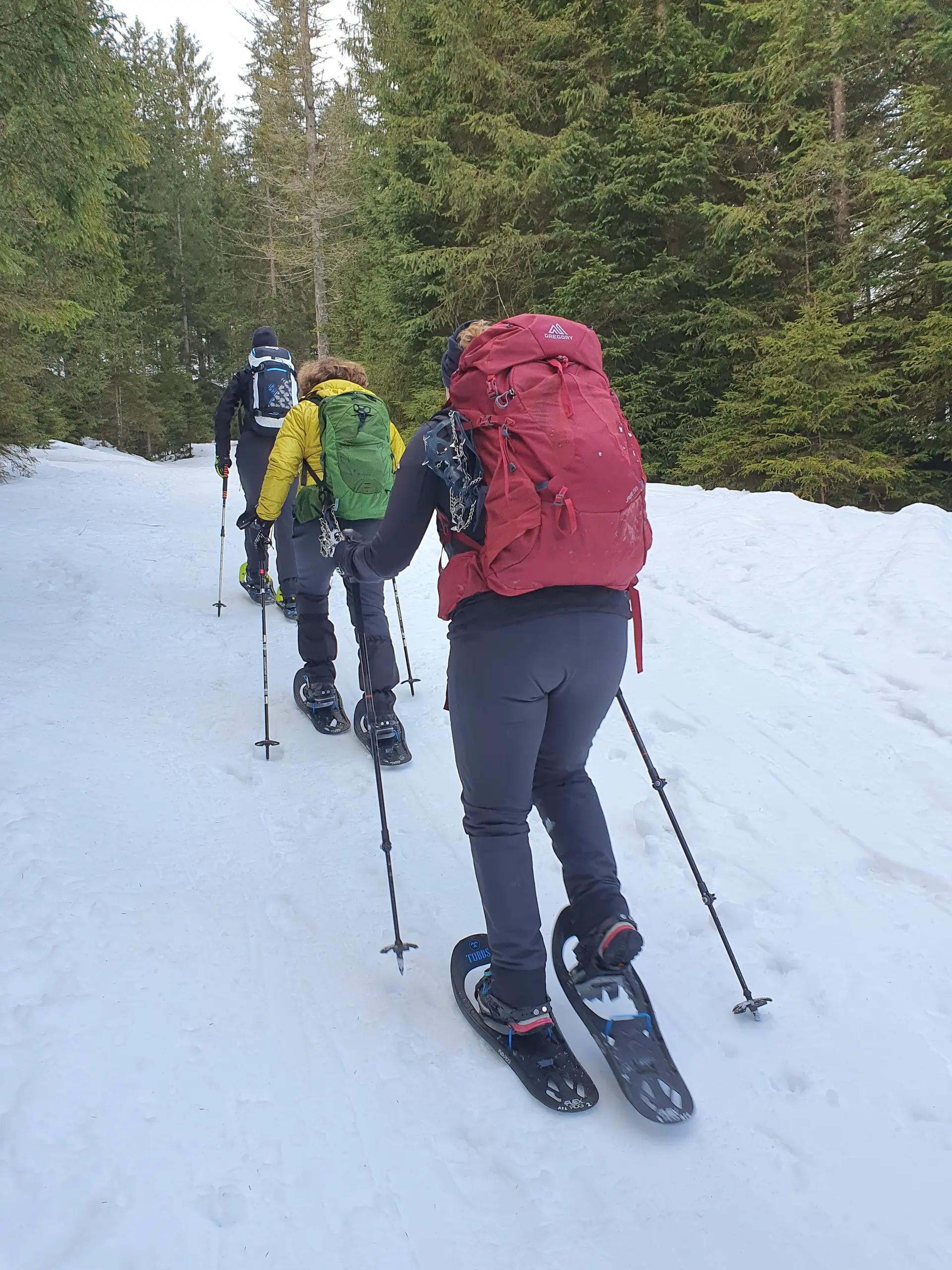 Endlich auf Schneeschuhen unterwegs | © DAV Mainz / Tourengruppe Schneeschuhtouren im Tannheimer Tal (04.-08.02.2026)