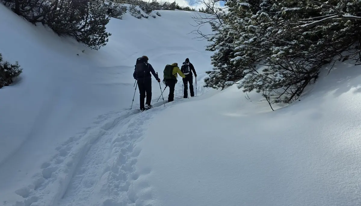Weiter bergauf | © DAV Mainz / Tourengruppe Schneeschuhtouren im Tannheimer Tal (04.-08.02.2026)