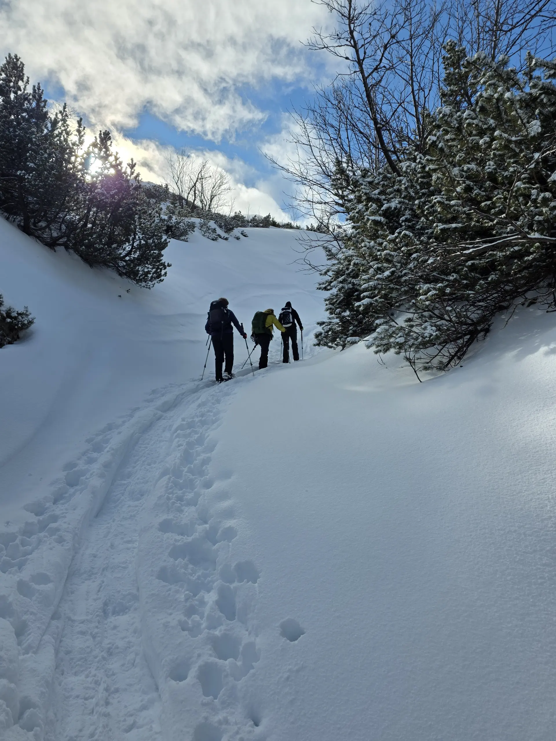 Weiter bergauf | © DAV Mainz / Tourengruppe Schneeschuhtouren im Tannheimer Tal (04.-08.02.2026)