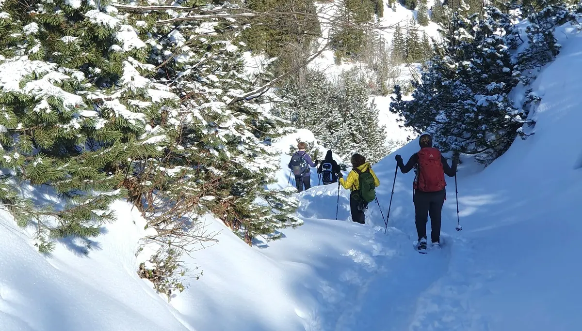Bergab auf dem Rückweg durchs Älpeletal | © DAV Mainz / Tourengruppe Schneeschuhtouren im Tannheimer Tal (04.-08.02.2026)
