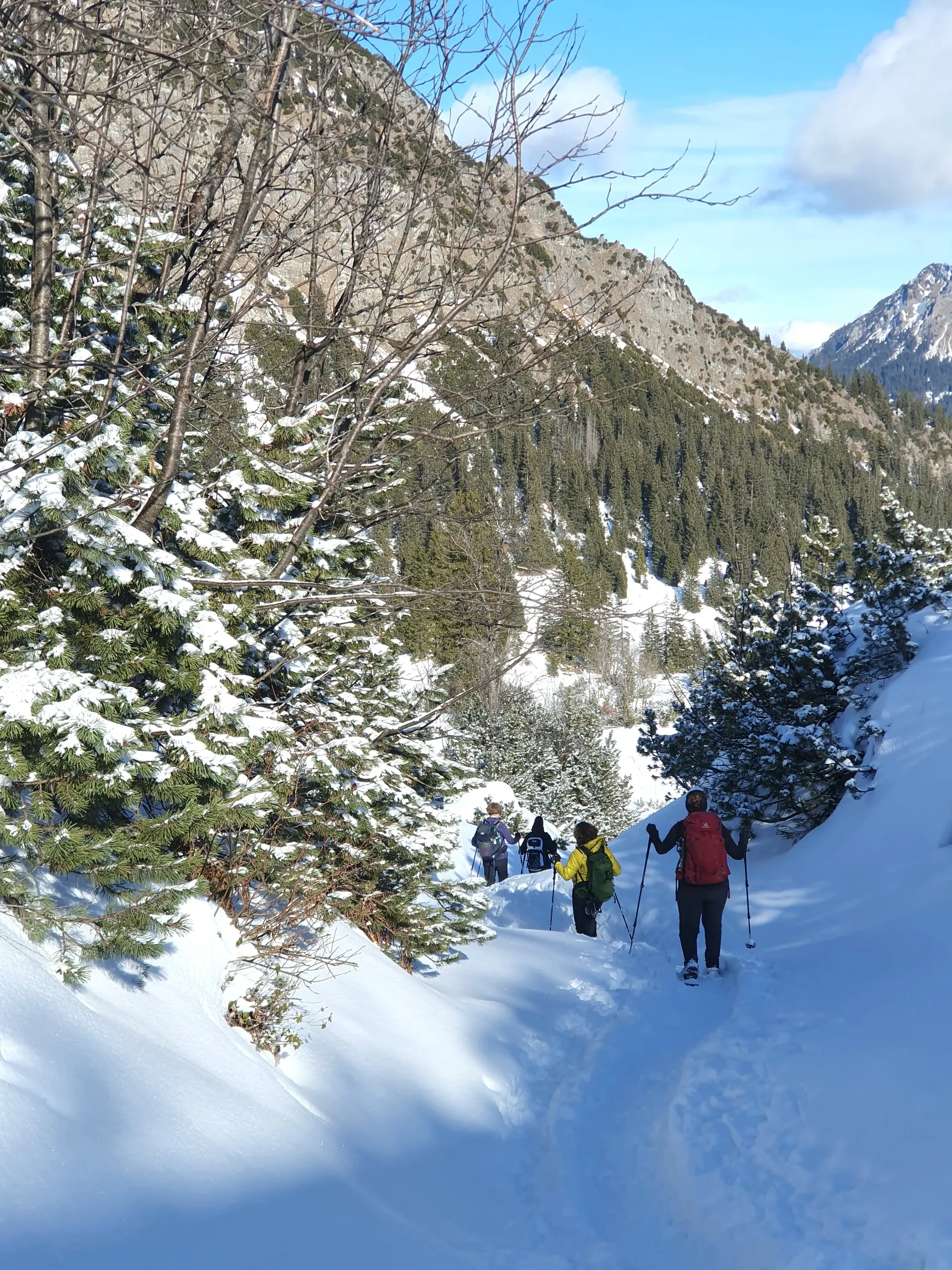 Bergab auf dem Rückweg durchs Älpeletal | © DAV Mainz / Tourengruppe Schneeschuhtouren im Tannheimer Tal (04.-08.02.2026)