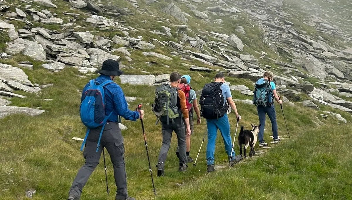 Wandern mit Ziege | © Oliver Heil